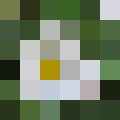 gaensebluemchen-pixel-grob.png