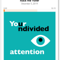 undivided-attention.png