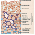 bodenwasser-formen-bodenkunde_diercke-spezial.jpg