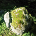 frostsprengung-schluchsee-002.jpg