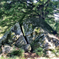 frostsprengung-schluchsee-003.jpg