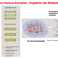 ton-humus-komplex.jpg