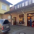 natwiss-raetsel-gras-pflaster_003.jpg