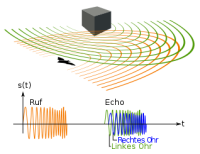 Das Echoortungssystem anschaulich dargestellt Das Echoortungssystem anschaulich dargestellt
