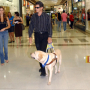 biologie-9a-paulina-rebecca-blindenhund.jpg